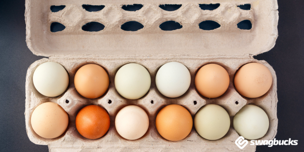 Save money on eggs with these saving tips.